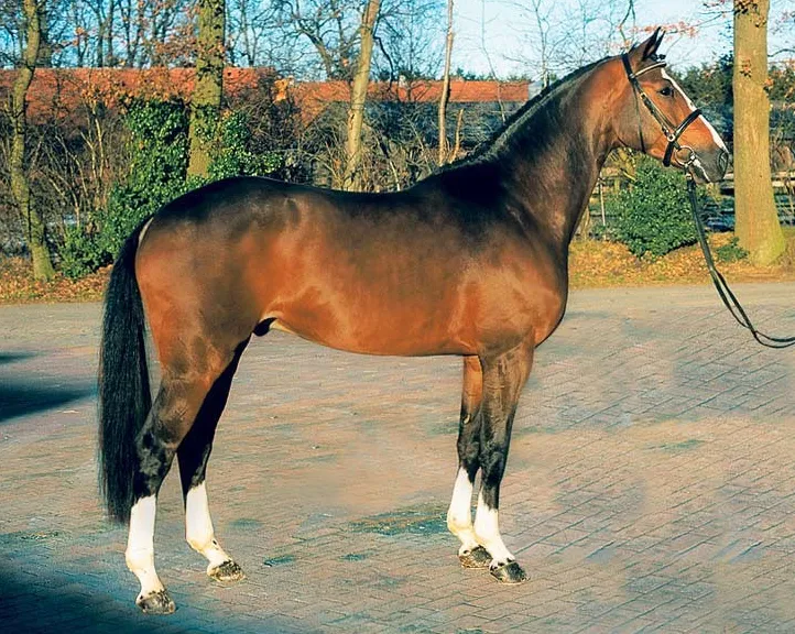 Balou du Rouet