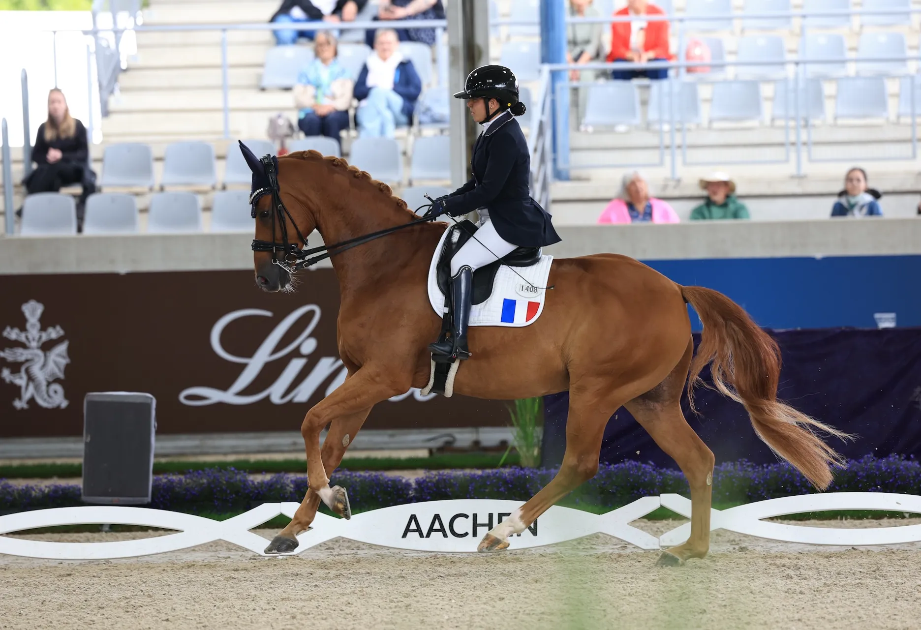 En selle sur Sultan 768, Alexia Pittier a décroché la médaille d’argent de la Reprise Libre en Musique de Grade IV aux Mondiaux d’Aix-la-Chapelle.