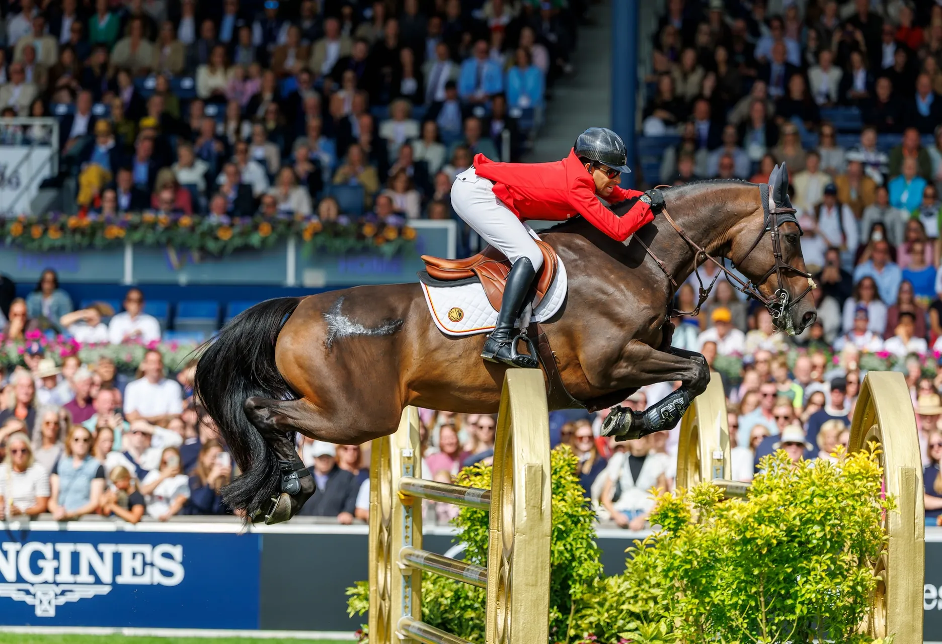 Abdel Saïd en selle sur  Wathnan Quaker Brimbelles avec lequel il a terminé vice-champion du monde par équipes.