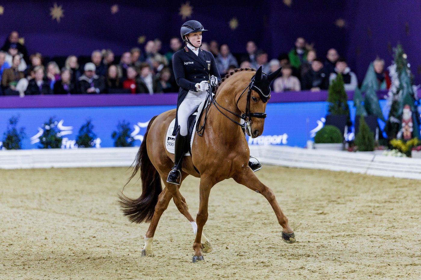 Katharina Hemmer et Denoix ont brillé dans le Spécial du CDI 5*, ce samedi 21 décembre