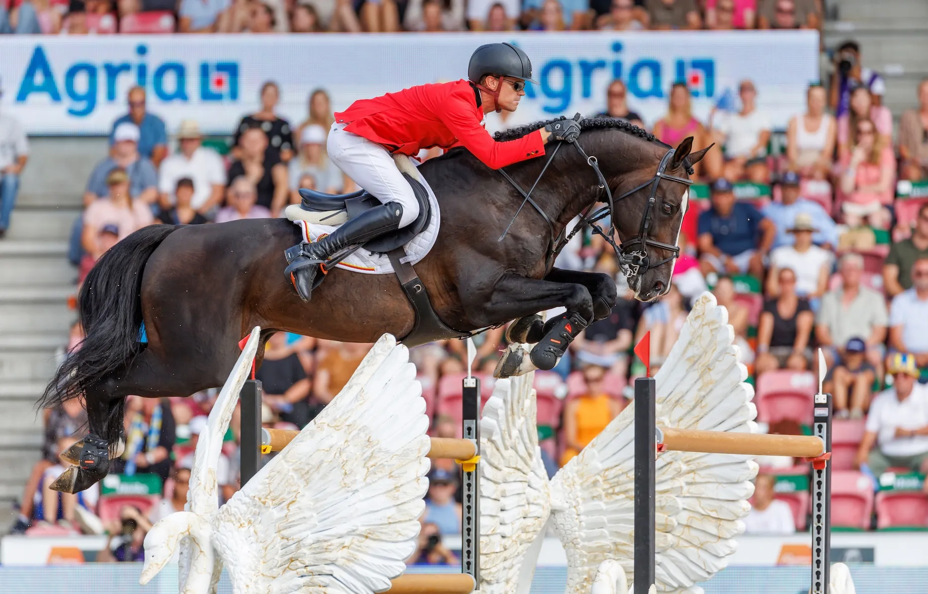 Jérôme Guéry et Quel Homme de Hus lors de leur titre de vice-champions du monde à Herning, au Danemark. 