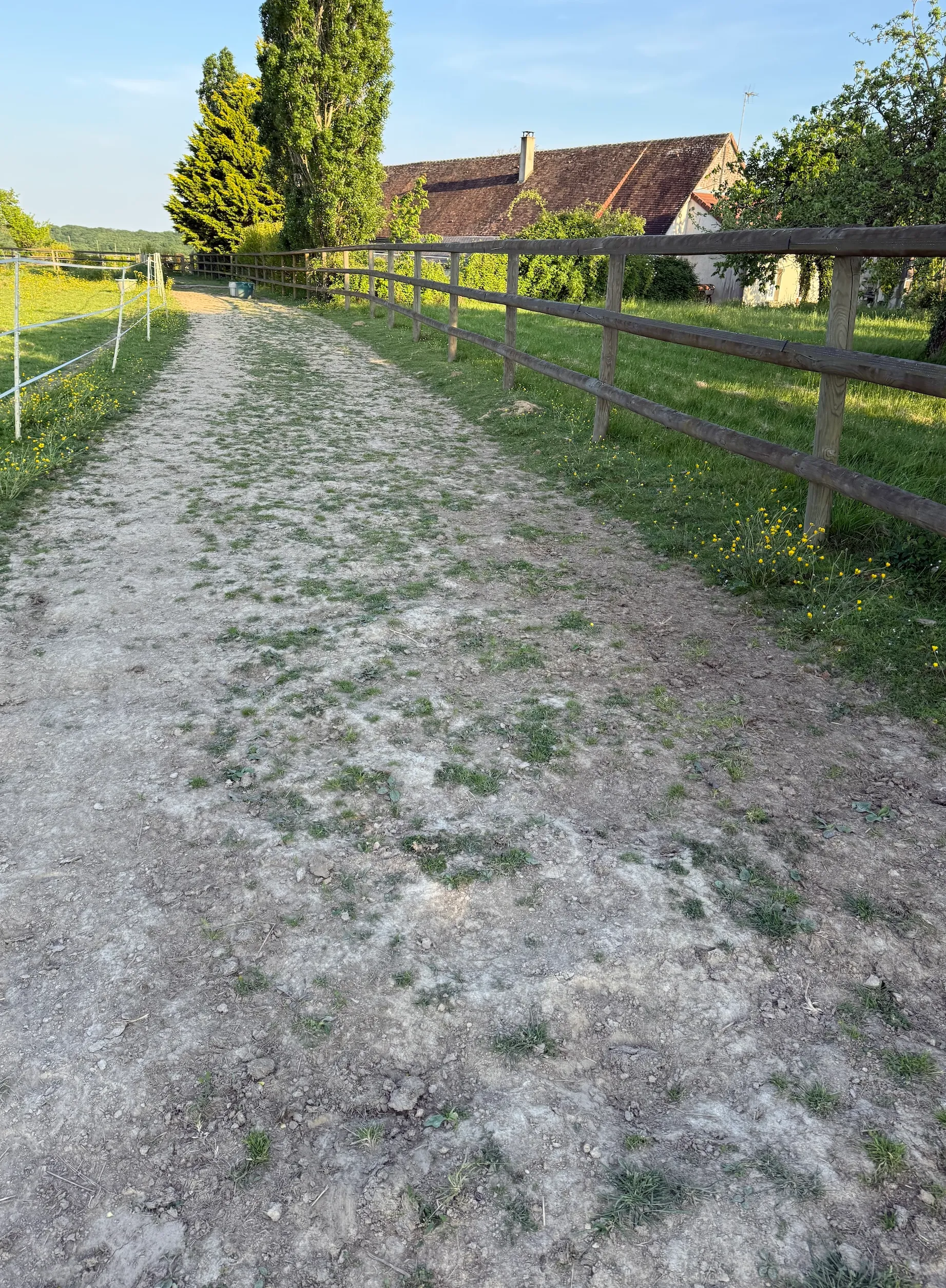 L’aménagement du terrain est rapidement nécessaire pour les petits espaces. Les équipistes et autres paddocks structurés sont un investissement de long terme.