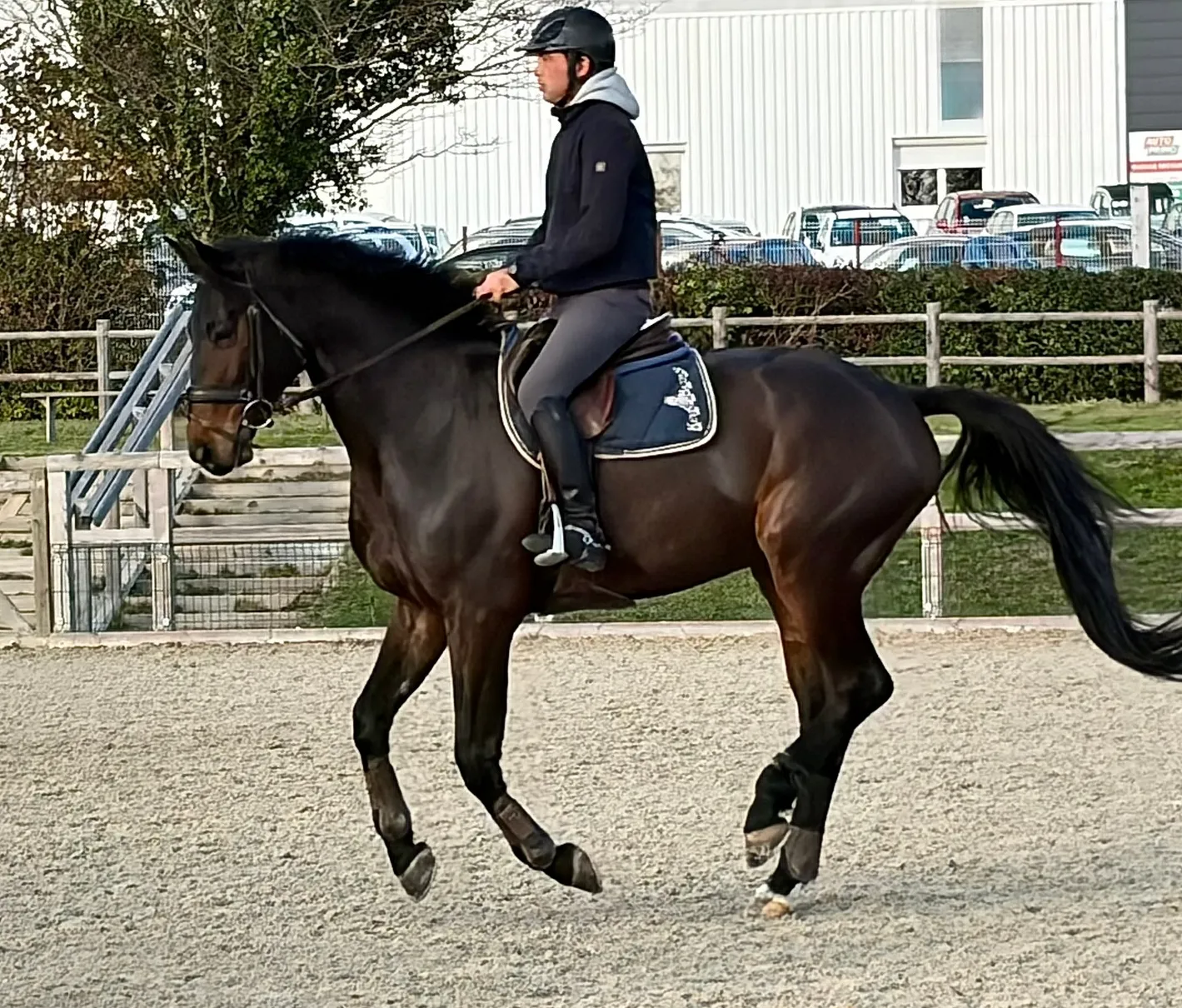 Mathieu Lemoine est ici en selle sur Kador Vendéen, en qui il fonde de grands espoirs