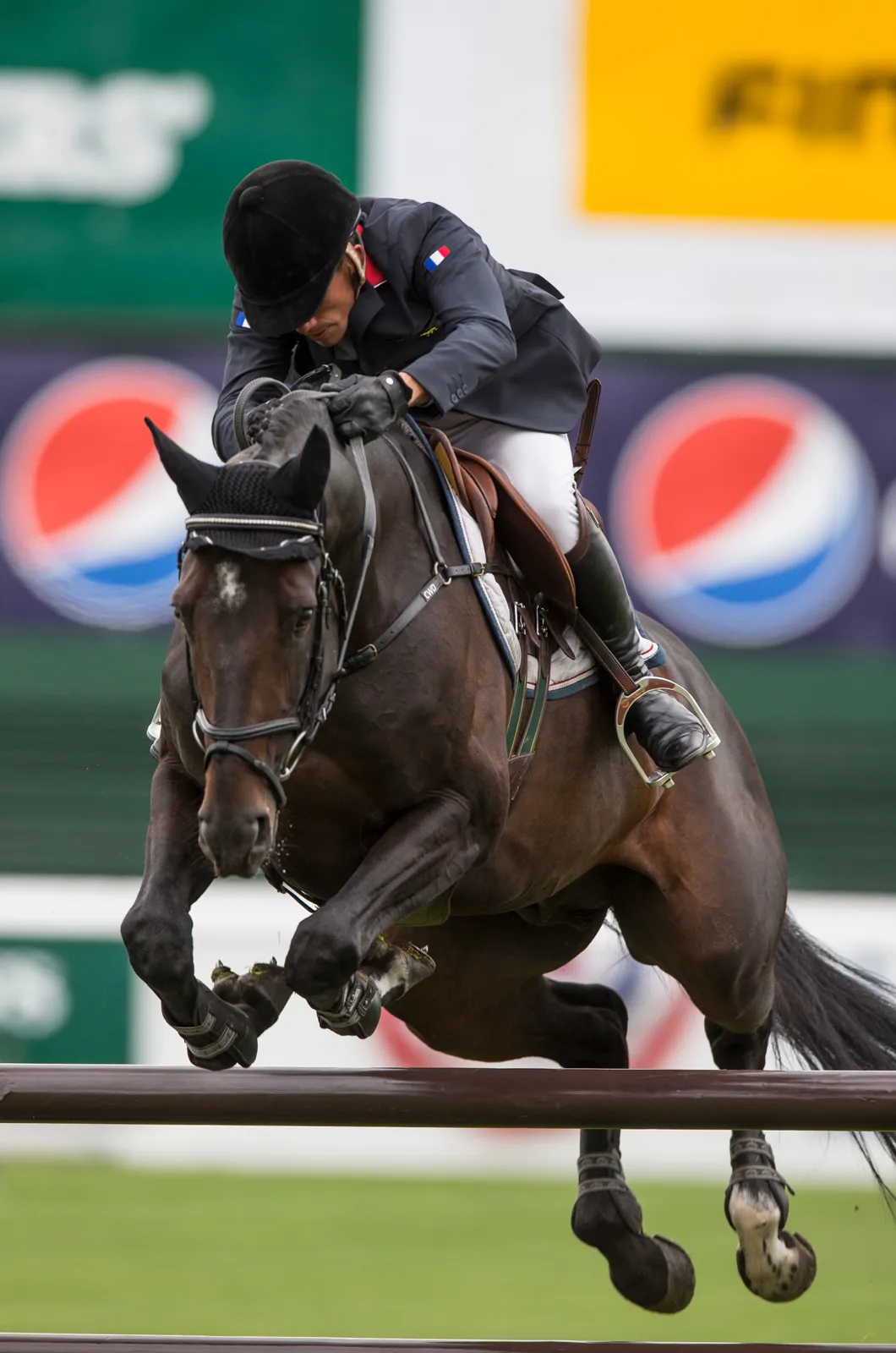 Olala de Buissy a vécu une performante carrière, notamment avec Olivier Robert, ici au CSIO 5* de Calgary.