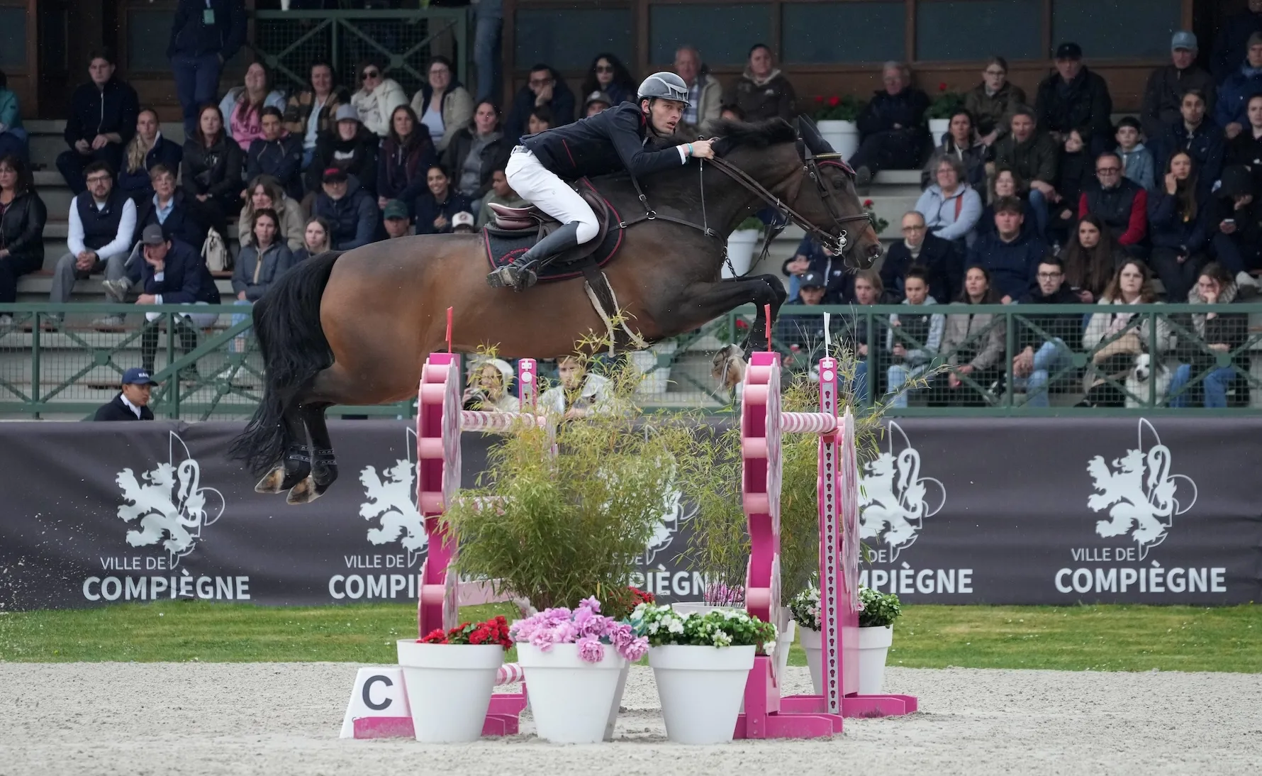 Robin van Thillo et My Jewel's Magic Touch lors du CSI de Compiègne