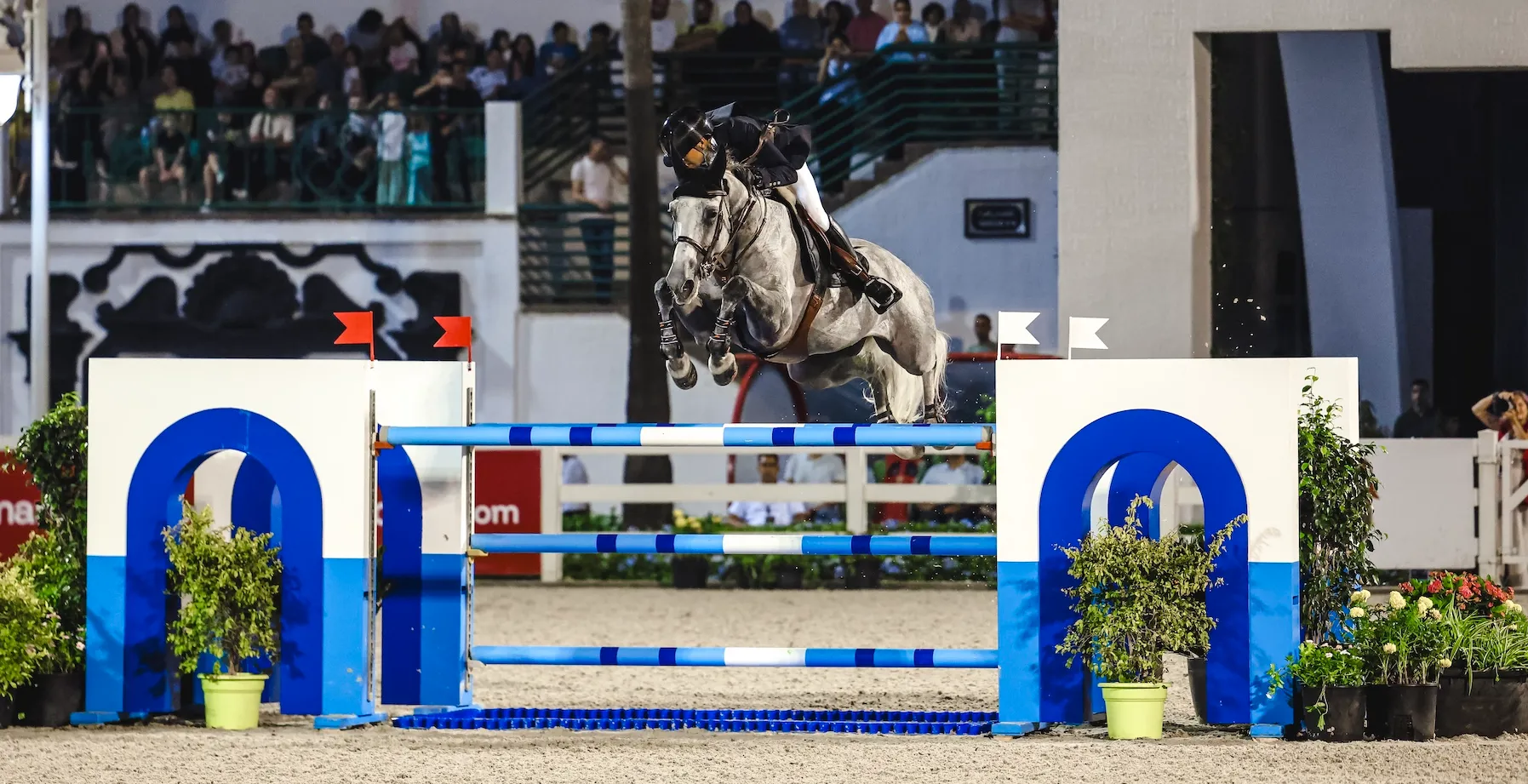Simon Delestre et Oh Sissi se sont offert hier l'épreuve à 1,45m. 