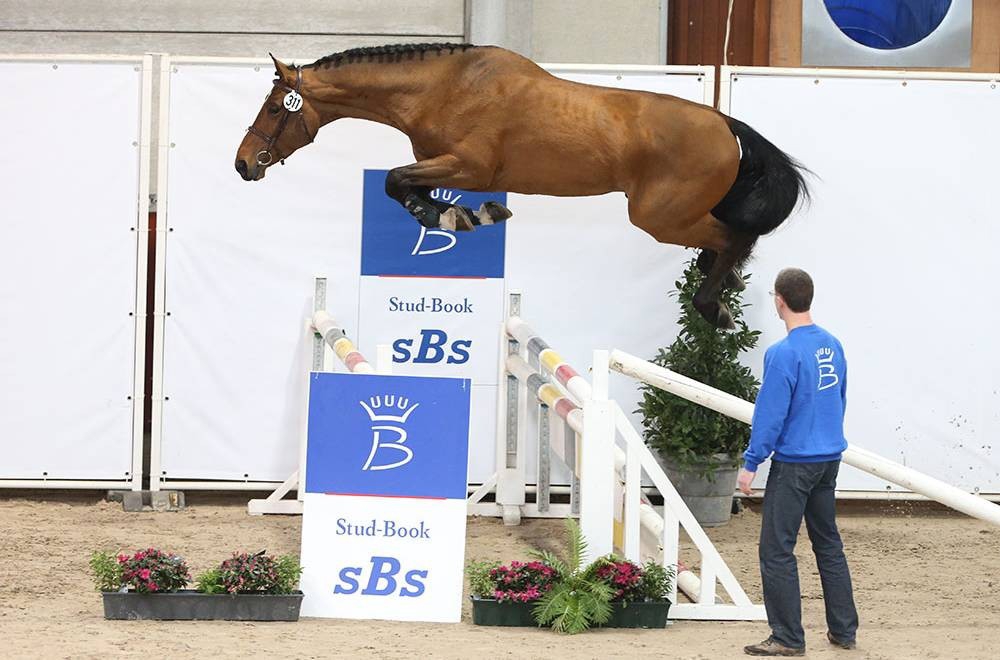 Le sBs Selection Show 2020