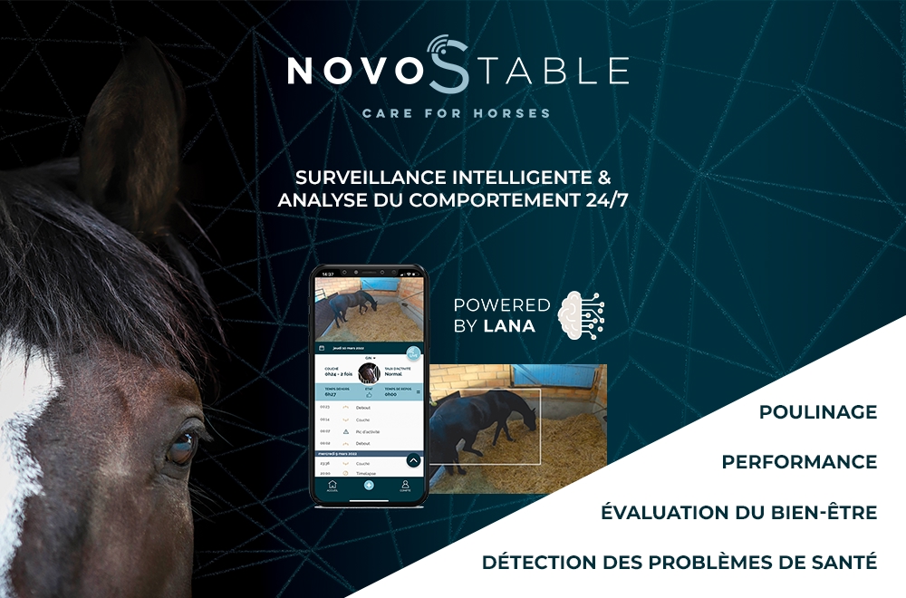 NOVOSTABLE