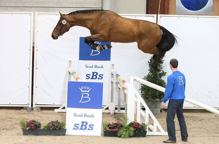 Le sBs Selection Show 2020
