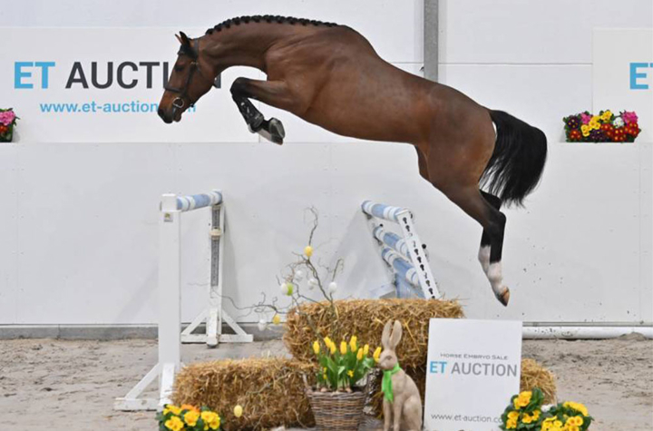 Les ventes ET Auction sont de retour