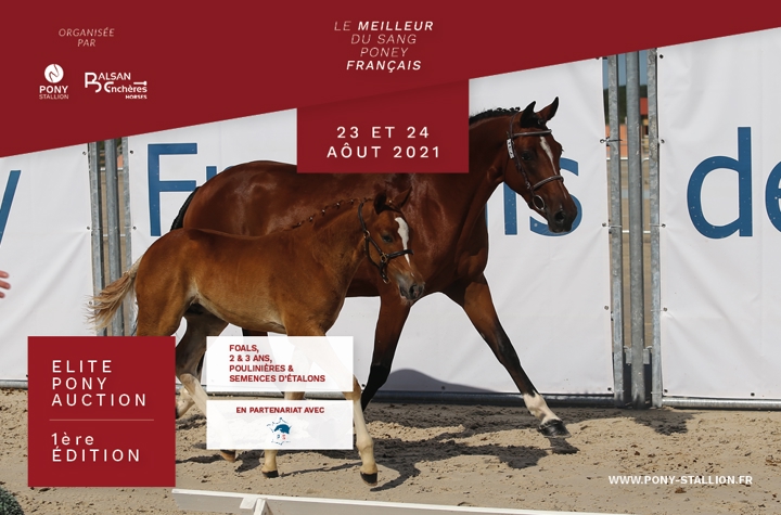 "Elite Pony Auction"