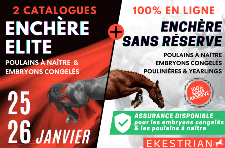 ventes Elite & Sans Réserve Saut d'Obstacles Ekestrian