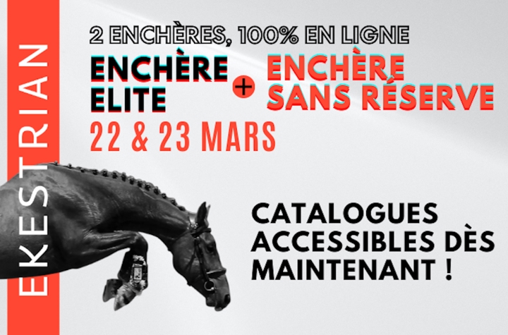 ventes Elite et Sans Réserve Ekestrian 