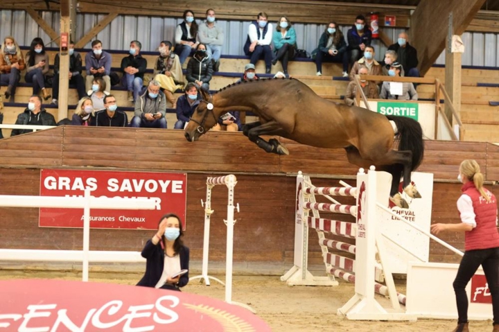 Deux top prices et de très belles ventes à Fences