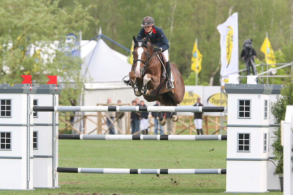 Topinambour rejoint la Bretagne