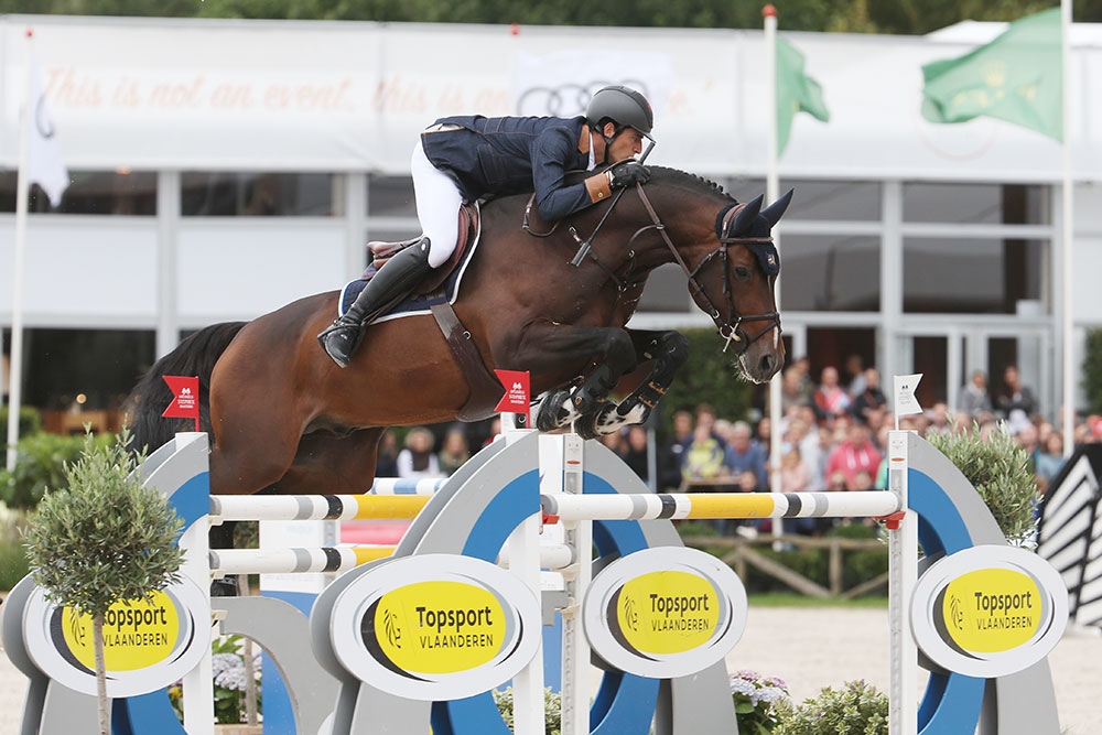 Bisquet Balou au haras de la Bouloye