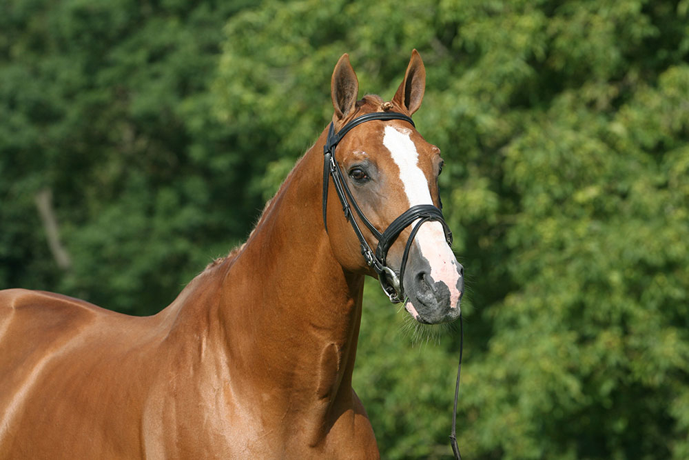 Disparition d'Eros Platière