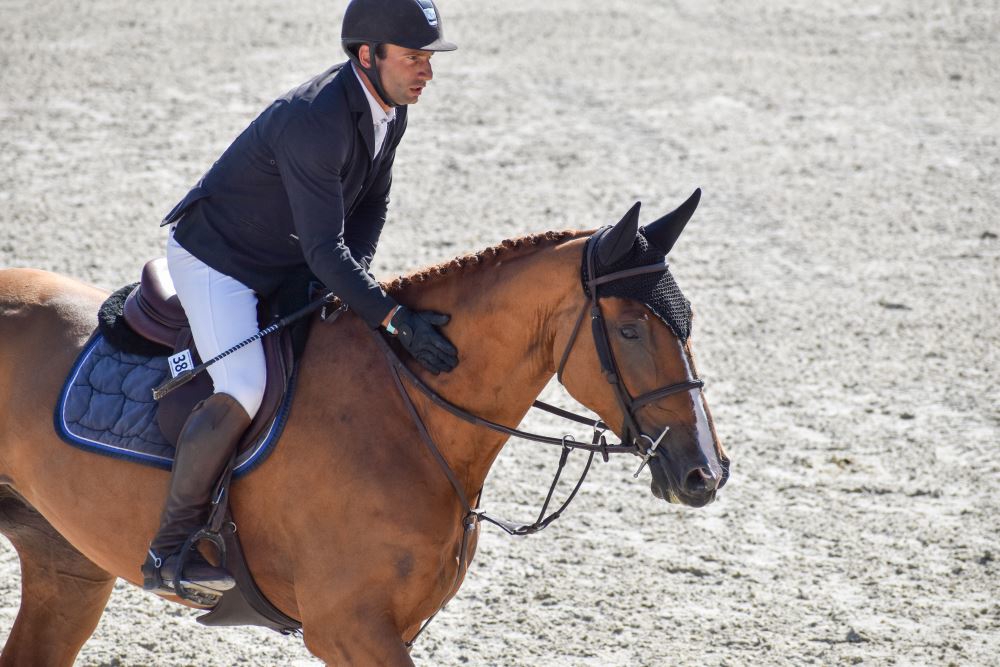 Gospel Tame rejoint Karlswood Stables