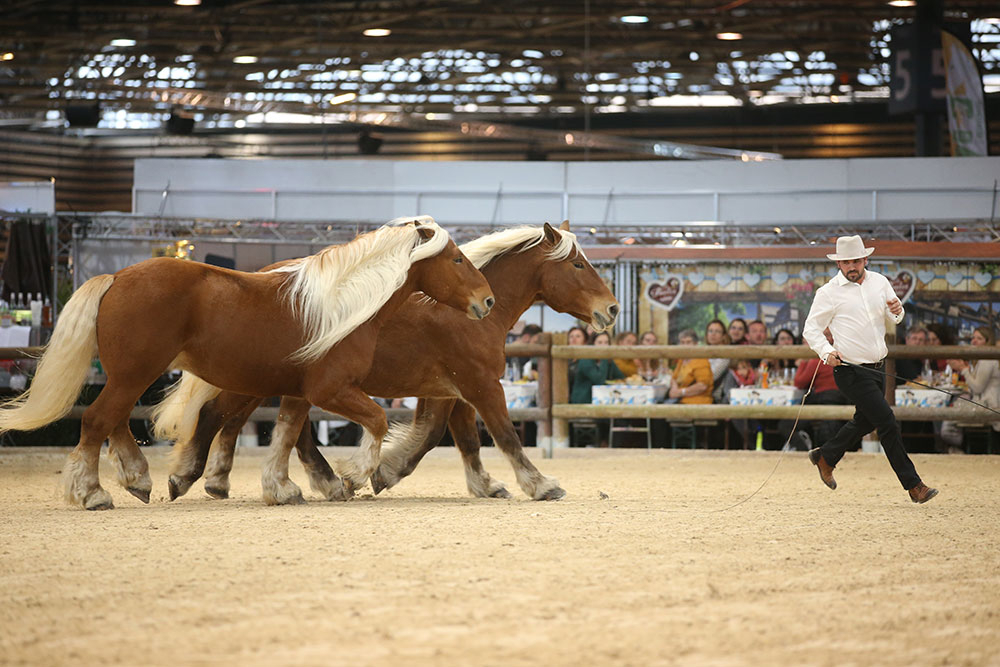 Equita Lyon et son cabaret équestre