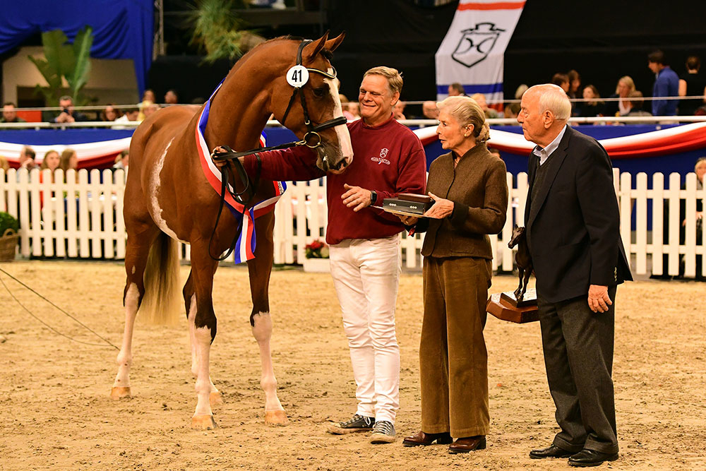 Esmeraldo, champion du Holstein !