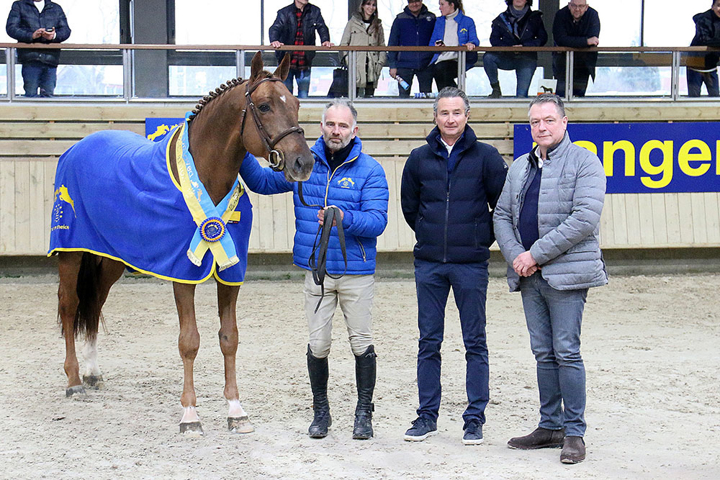 24 étalons approuvés pour Zangersheide