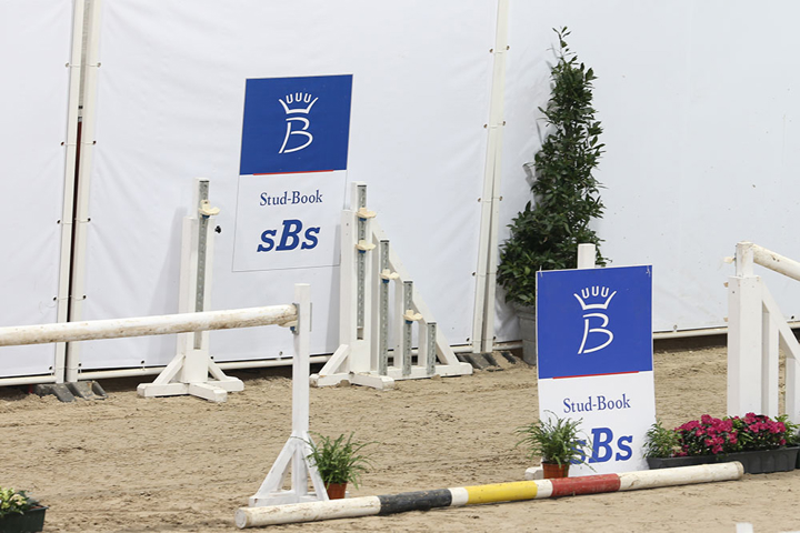12 nouveaux étalons au sBs.