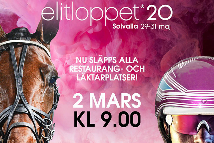 Propulsion s’impose dans l’Elitloppet.