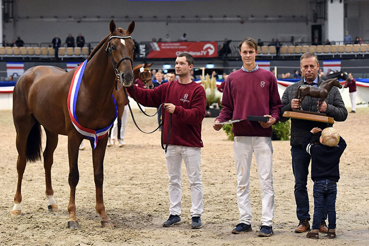 Vigado, champion du Holstein