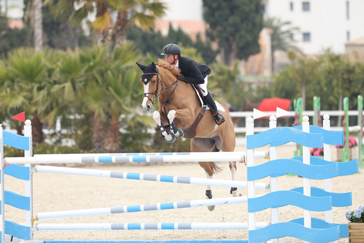 Fais Toi Belle du Seigneur rejoint le haras de Pléville
