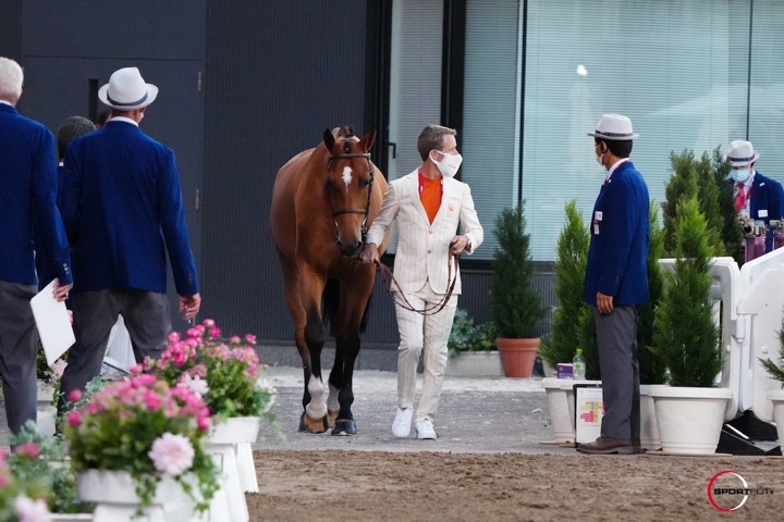 La première inspection est passée pour les chevaux de saut d'obstacles
