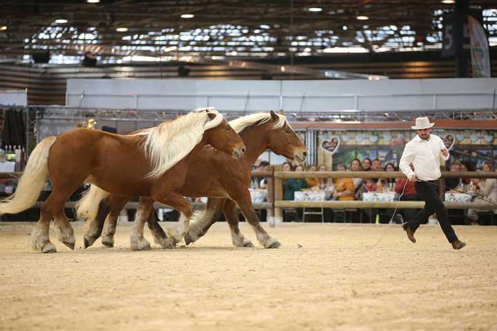 Equita Lyon et son cabaret équestre