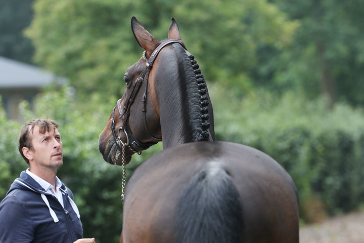 Dollar du Rouet a rejoint Grégory Wathelet