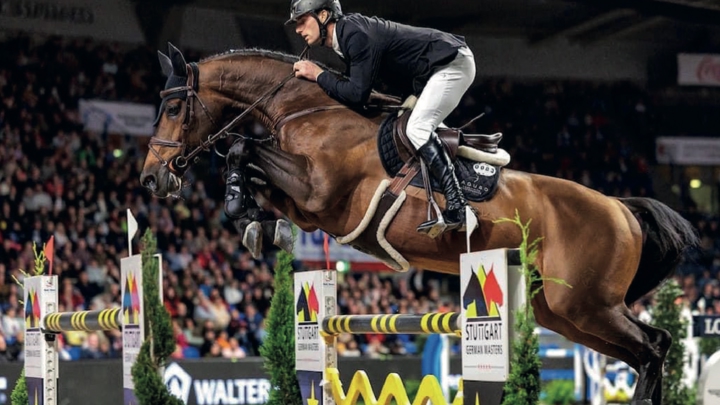 Beligneux le Haras