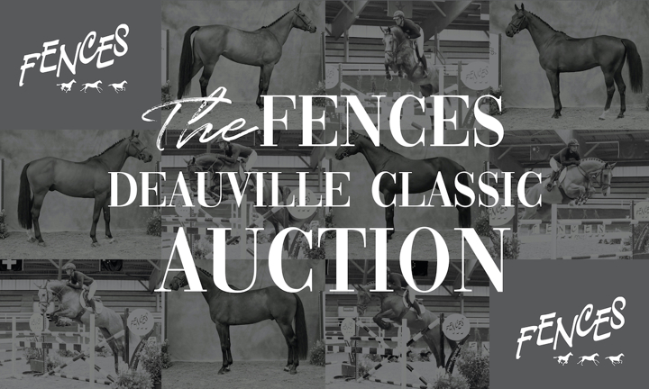 Deauville Classic Auction - Graines de Stars