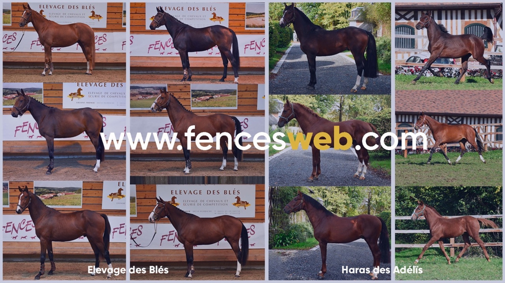 Trois belles ventes de service à venir sur Fences Web