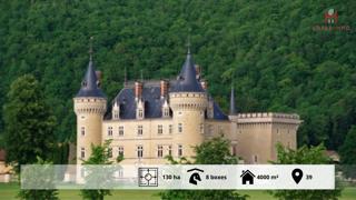 À vendre : château classé de 130 Ha en Franche-Comte 