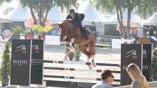 Trouble Balou FDV met Joy Fonck in het zadel