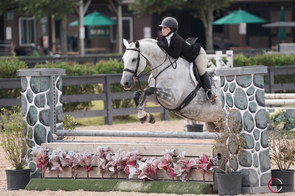 Le Hunter : une école permettant d’exceller en saut d’obstacles