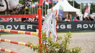 Les obstacles aux couleurs du Normandy Summer Tour rappellent la double vocation du circuit : le saut d'obstacles international et l'élevage.