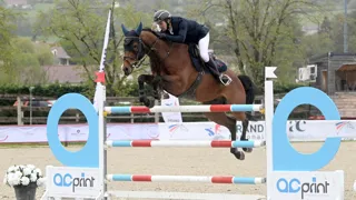 Paul Delforge et Gérico Louvo ont excellé hier en Saône-et-Loire.