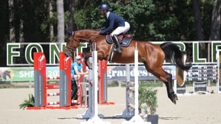 Troisième du championnat des femelles de quatre ans avec Arnaud Rasquier, Kinshasa Makambo Thom est une fille de Cicero Z et Paloma Gesmeray par Quick Star.