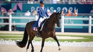 Auteurs d'une saison sportive plus que remarquable, Pauline Basquin et son fidèle Sertorius de Rima Z*IFCE ont notamment contribué à la sixième place de l'équipe de France aux Jeux olympiques de Paris 2024.