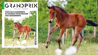 Le Hors-série Élevage annuel du magazine GRANDPRIX est en kiosques depuis ce matin.