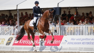 Brutalement disparu en 2017, Don Juan de Hus, ici sous la selle de Jessica Michel-Botton aux championnats du monde Jeunes Chevaux, était promis à une magnifique carrière sportive.