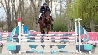 Âgé de cinq ans, Kiarado de Chez Nous, ici sous la selle de son éleveur Bernard Sainsardos, a été repéré sur le circuit Jeunes Chevaux en raison de son pedigree atypique.