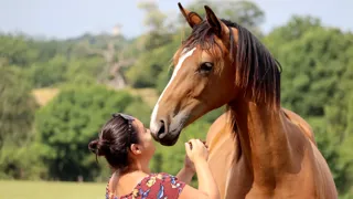 Établie en Mayenne, Amélie Tek n’a pas tardé à briller avec ses chevaux d’Amko.