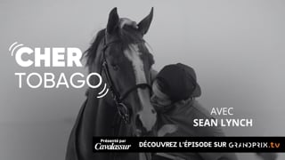 “Cher Tobago”, avec Sean Lynch 