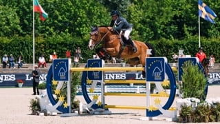 L’an passé, Mariano Martínez Bastida et Belano van de Wijnhoeve Z s’étaient montrés intouchables en réalisant un double sans-faute qui avait permis à l’Espagne de remporter la demi-finale deauvillaise. 