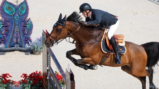 Harrie Smolders a remporté une nouvelle victoire avec Mr. Tac des Fusains ce soir à Monaco.