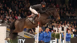 Julien Épaillard et Donatello d’Auge ont été supersoniques, ce soir à Stuttgart